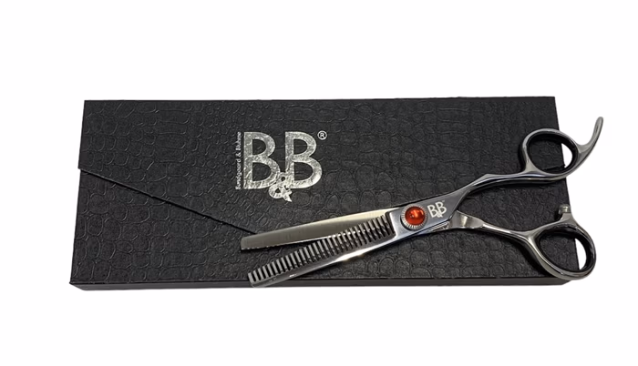 b&B efiler
